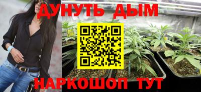 шишки Вязники