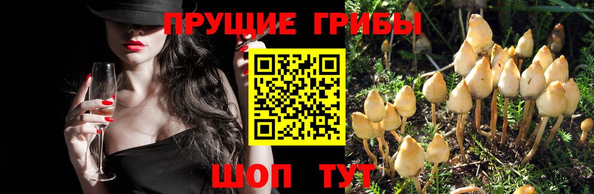 Марихуана  ГАШИШ  Как найти закладки?  Борзя  КОКАИН  МЕФ кристаллы  Вход с VPN 