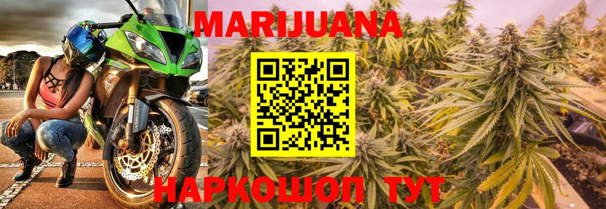 Канабис гибрид Борзя